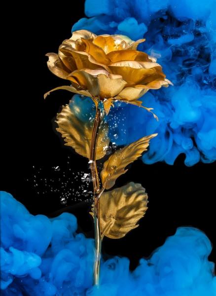 Photograph Muhannad Salem Underwater on One Eyeland